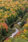 USA, Michigan, Ottawa National Forest. Lake of the Clouds and forest in autumn. Art Print